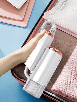 Handheld Steamer