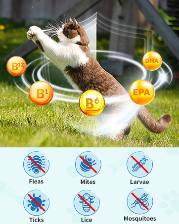 Natural Flea and Tick Prevention for cats