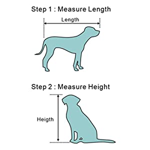 measure