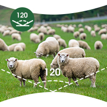 Small manufacture image 3