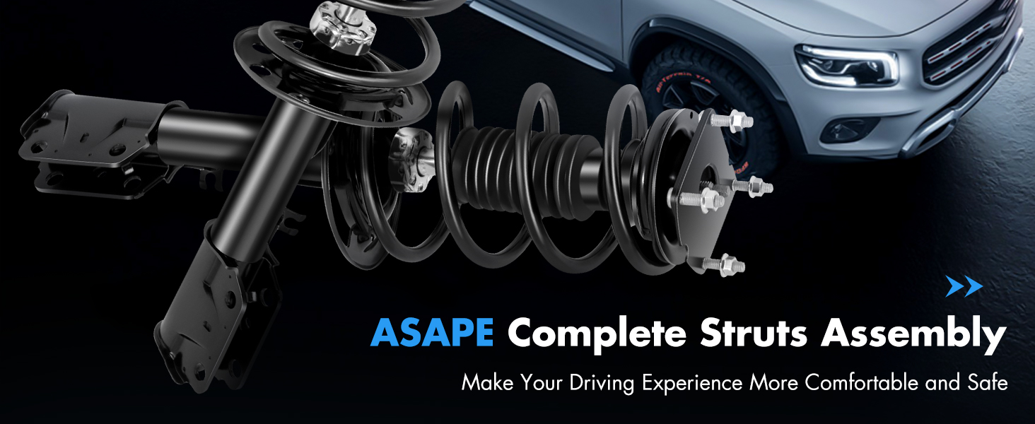 Complete Struts Assembly
