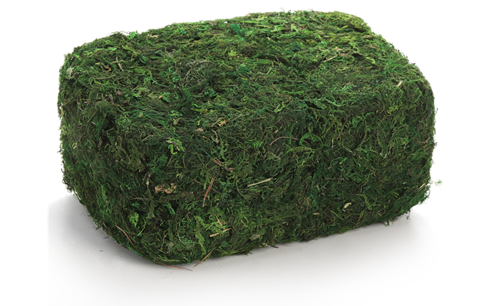 Cididu Fake Moss for Potted Plants, 10 OZ Faux Preserved