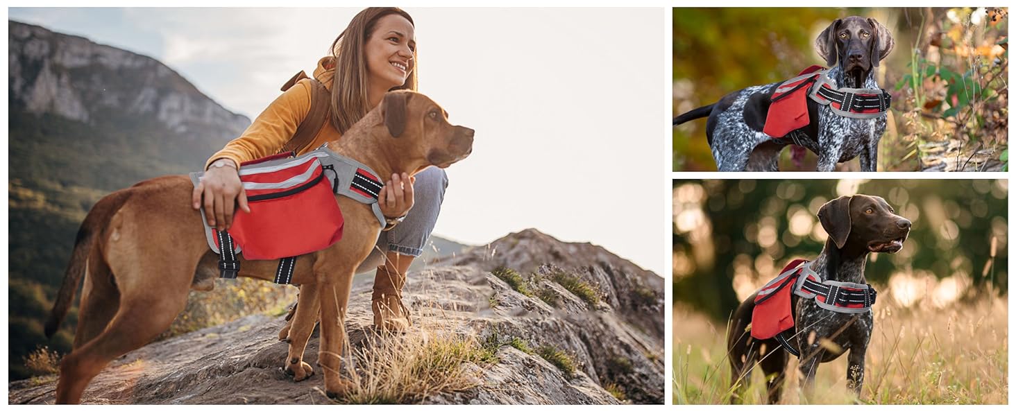 DENTRUN Dog Hiking Backpack, Hound Dog Saddlebag Backpack, Nylon Dog Harness Vest