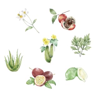 Miyakojima Original Extract, Antioxidant