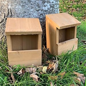 bird boxes