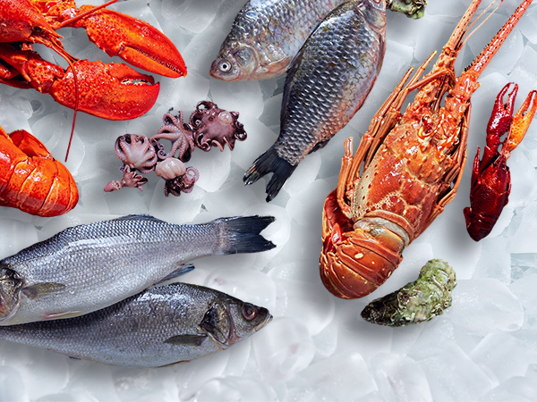 Countertop Ice Maker Ice Machine, Portable Self-Cleaning Ice Machine