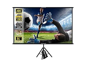 100 portaable screen