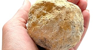 Geoden Set Tennisball