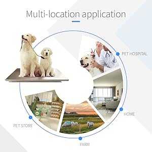 MULTI LOCATION APPLICATION