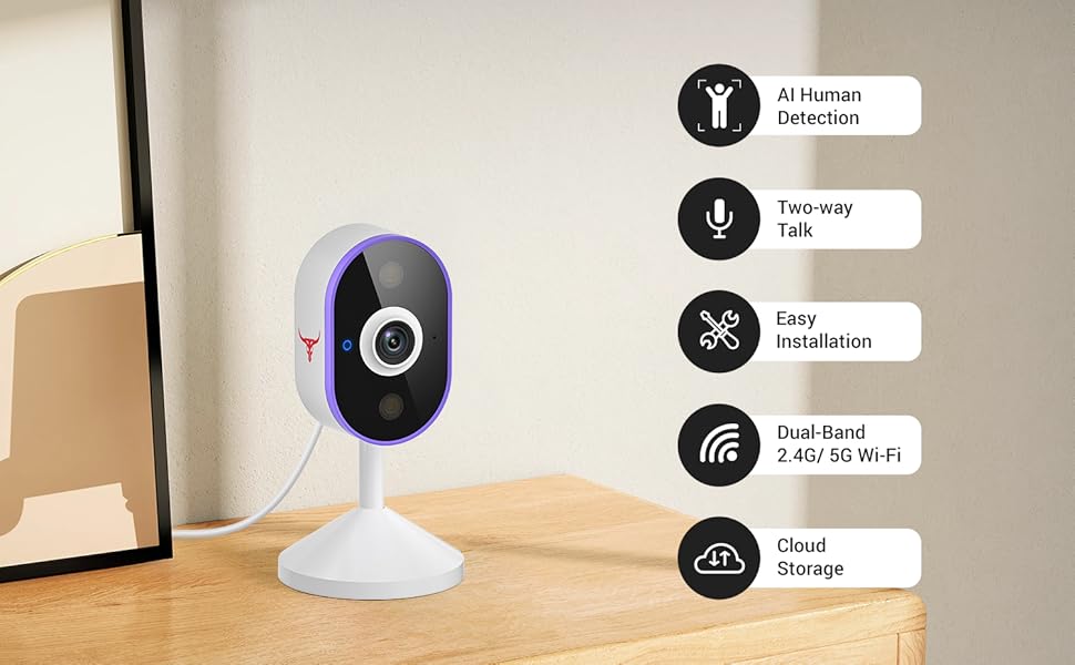 Security Cameras Wireless