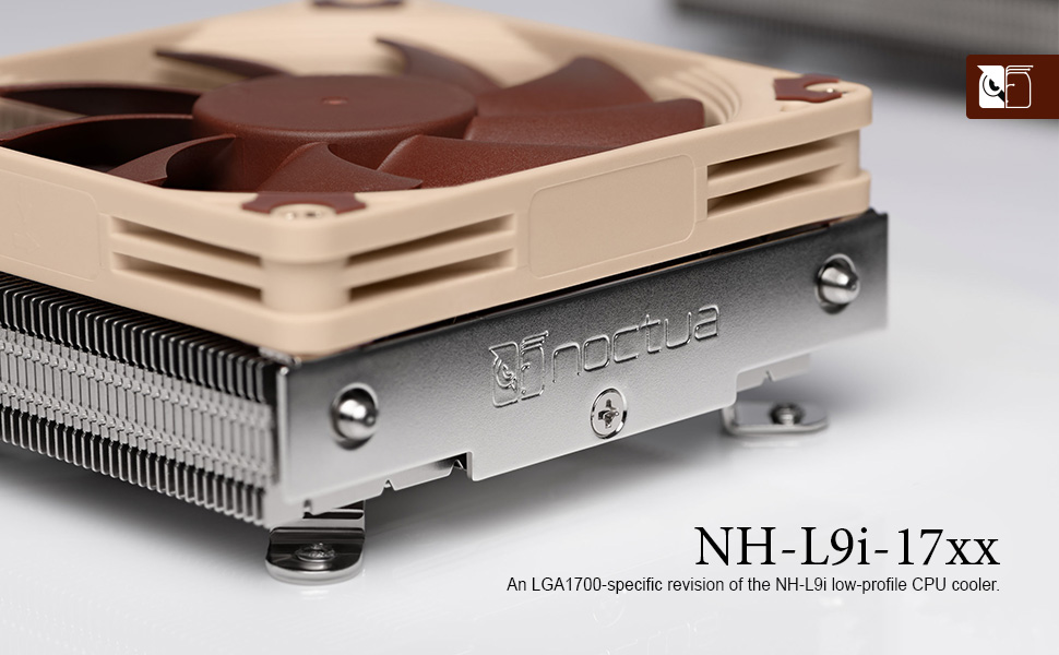 noctua