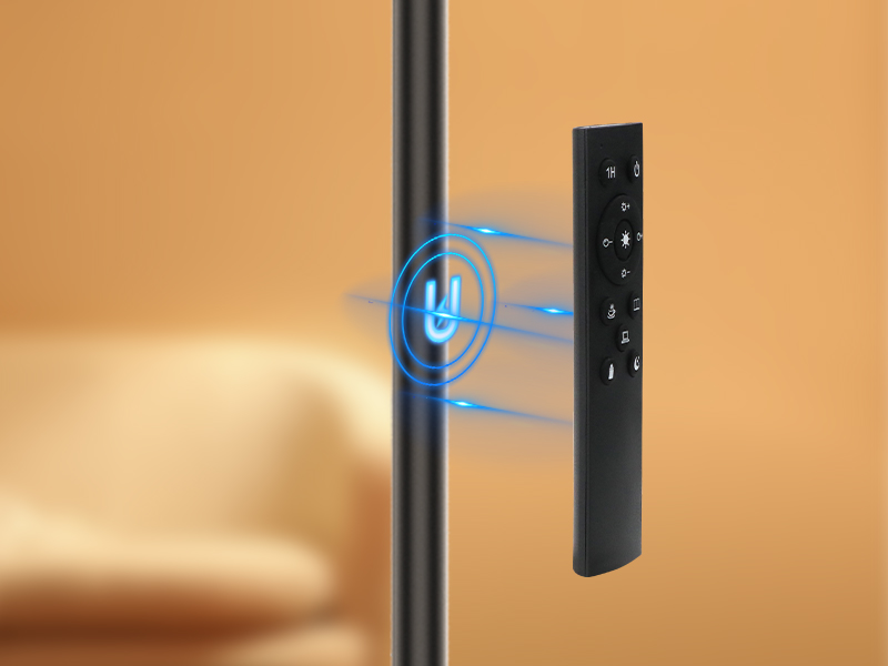 Magnetic Remote