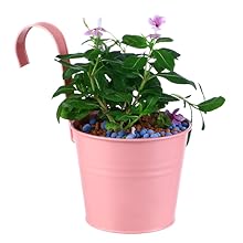 Balcony Planters Railing Hanging