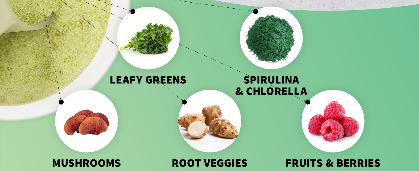 leafy greens reishi turkey tail chaga mushrooms artichoke inulin fruits