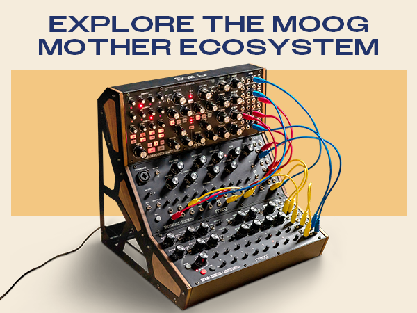 Amazon.com: MOOG Spectravox Semi-Modular Analog Spectral