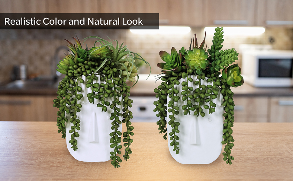 Supla 4 pcs Artificial Hanging Succulent... 14 artificial succulents