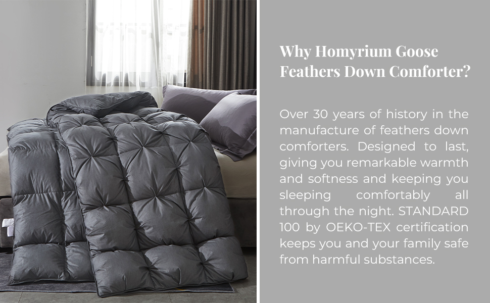 Homyrium Pinch Pleat Goose Feathers Down Comforter Queen Size Heavyweight for Winter