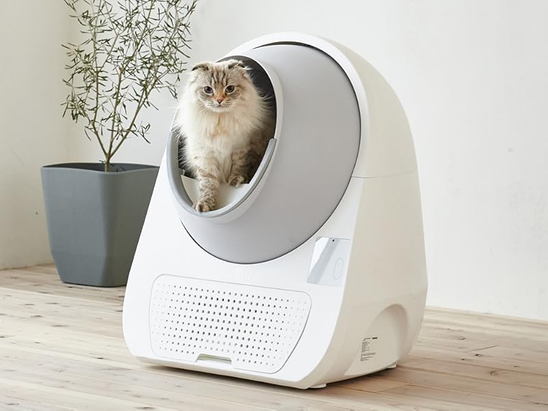 Amazon | 【OFT】 ナチュラルブレンドサンド 2.8kg キャッサバ