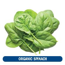 Protein & Greens