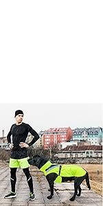 Reflective Dog Rain Coat Raincoat High Vis High Visibility Yellow Lightweight Waterproof