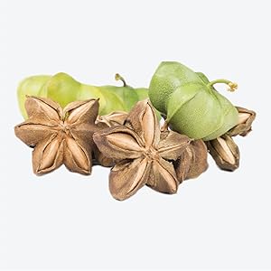 Sacha Inchi Extract