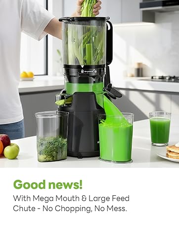 Cold Press Juicer