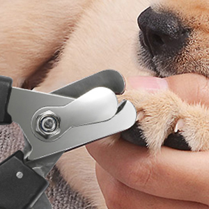 dog nail cutter