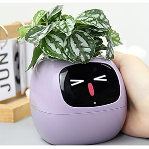 ai smart pet planter