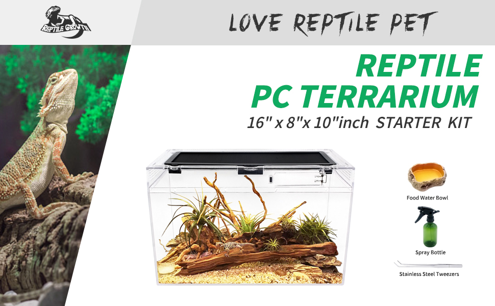 Reptile Terrarium P03