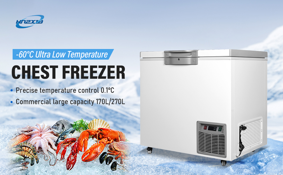 Amazon.com: -60 ℃ 270L Cryogenic Refrigerator, Cryogenic