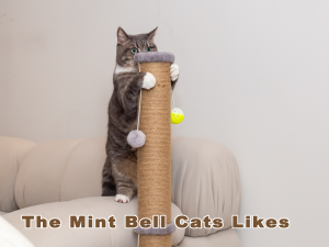 vertical cat scratcher