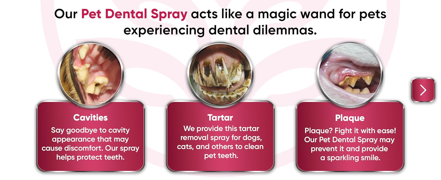 pet teeth cleaning spray, cat mouthwash, breath spray for dogs