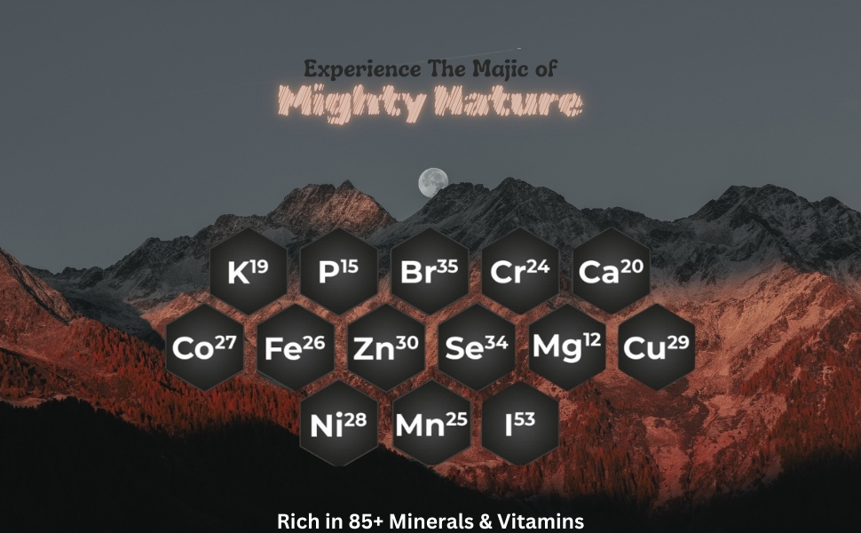 Elements in shilajit