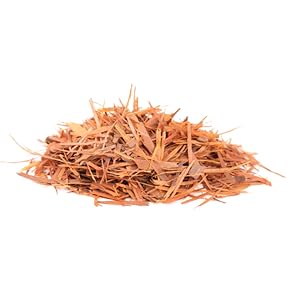 Pau D'Arco rich in vitamins c