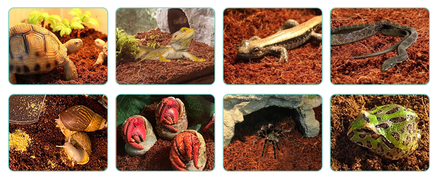 coconut bedding coconut fiber for reptiles loose coconut fiber substrate