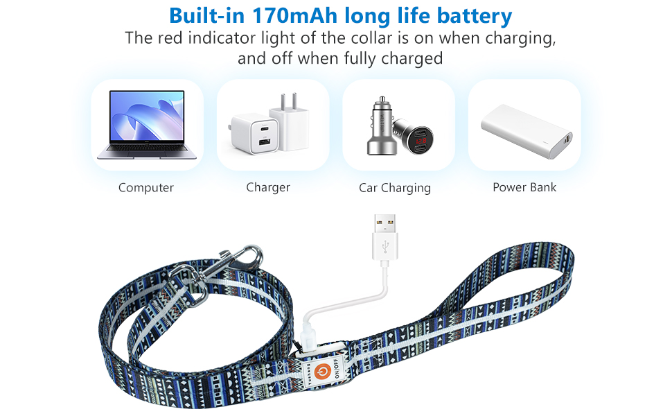 YUSHANG Light Up Dog Leash 