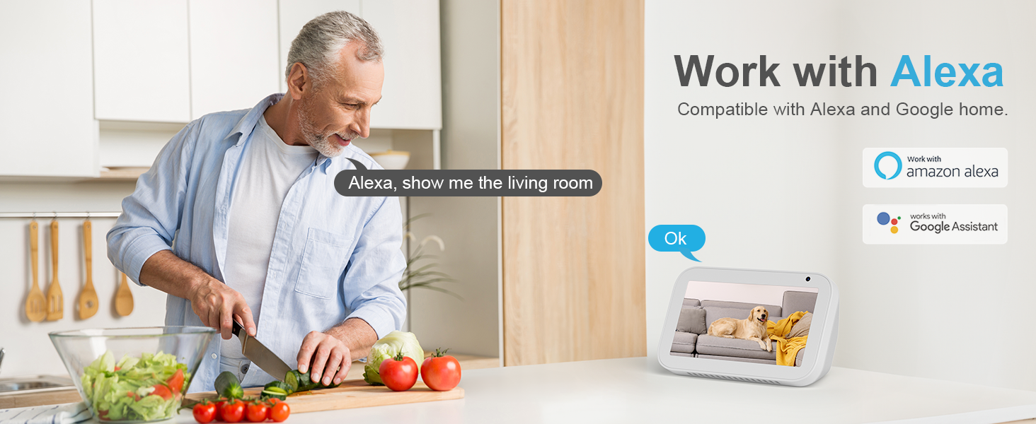 alexa camera indoor home security cameras