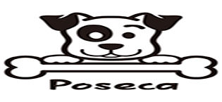 16a432c7 abd6 4200 b4d9 273d894c98f7. CR0,0,315,145 PT0 SX315 V1