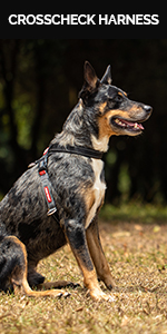 chest-plate-harness-module-2-image-4