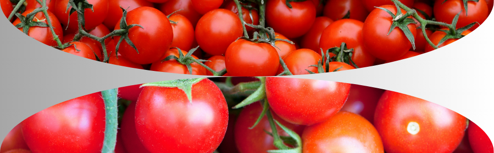 cherry tomato seeds, cherry tomato vegetable seeds, cherry tomato fruit