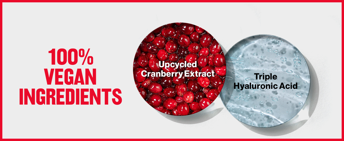 100% vegan ingredients