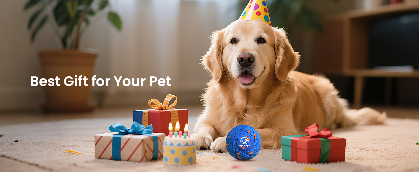 Interactive Dog Toy Ball