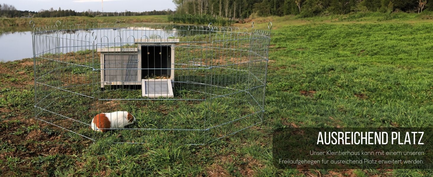 Maschendrahtgehege mit kleinem Holzunterstand auf einer Rasenfläche in der Nähe von Wasser. Meerschweinchen im Gehege sichtbar. Text 'AUSREICHEND PLATZ' sichtbar.