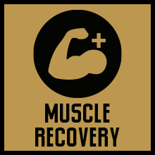 5% Nutrition Core L-Glutamine Supplement L-Alanine Amino Muscle Builder Post Workout Unflavored
