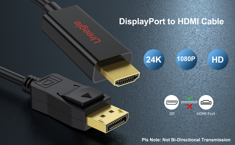 Ureegle DisplayPort to HDMI Cable, 10 Feet High Speed Display Port(DP