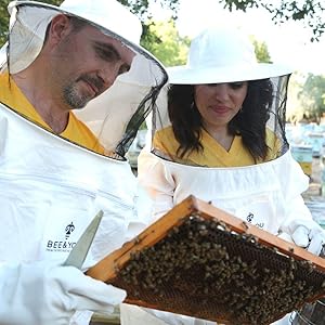 Bee and You