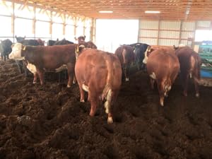 Small manufacture image 1