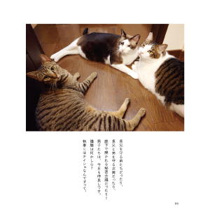 Amazon.co.jp: ちびすけlovesおおきい猫さんたち (単行本) : 椹