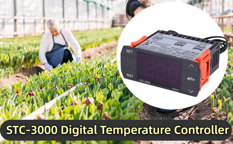 STC3000 Digital Temperature Controller with Sensor Touch Type