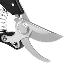 Pruning Shears